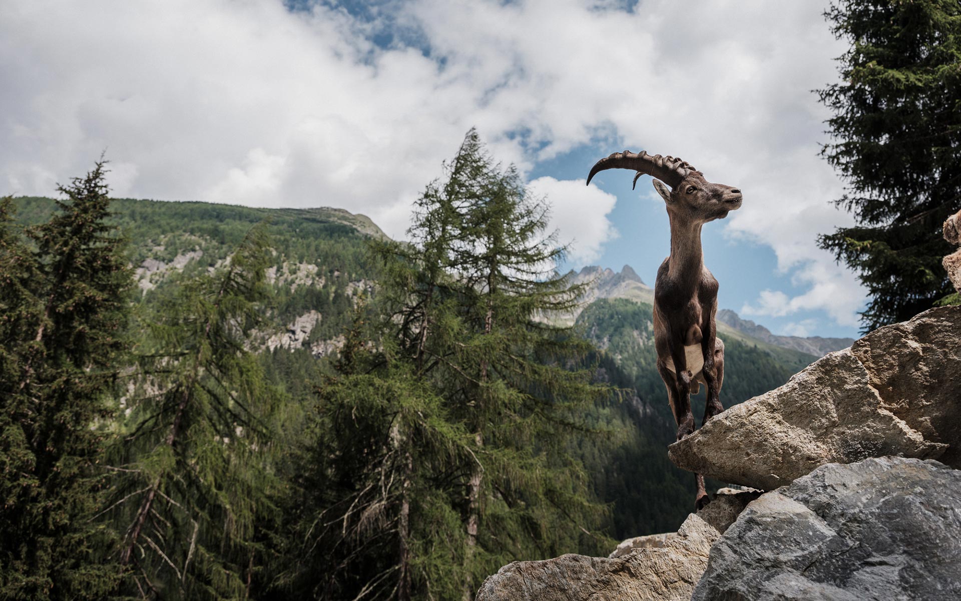 Köflerhof Ferienwohnungen im Pitztal